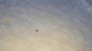 Нашли телефон. Разбиваем телефон.