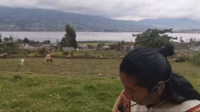 🏔️Beautiful Melody On Zampoña | Music Of The Andes🏔️ смотреть онлайн