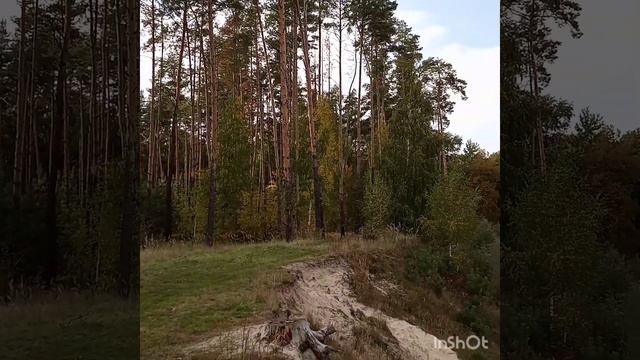 Це край, де я родилась і живу.