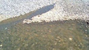 ЖК Солнечный пляж в Адлере. Река Херота.