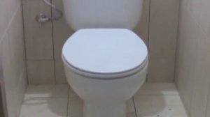 Установка унитаза и сливного бачка своими руками