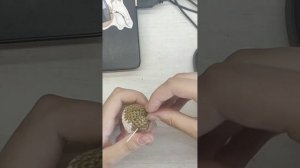 Кот банан крючком. Игрушка амигуруми. Мастер класс по вязанию. ?