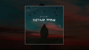 Deesmi - Улетали птицы (Официальная премьера трека)