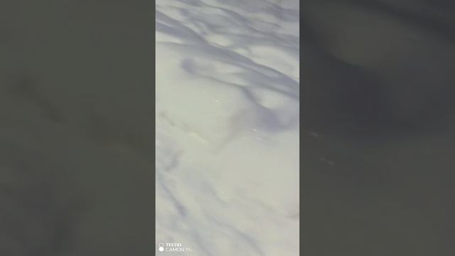 Снежная красота❄️Усинск 16 ноября.