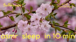 ?Быстрый сон за 10 минут ? музыка для спокойного сна?