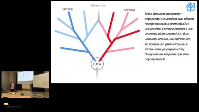 Происхождение жизни: научная и мировоззренческая перспектива. Сергей Ястребов смотреть онлайн