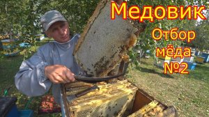 МЕДОВИК! Как сработал на медосборе! ОТБОР МЁДА №2