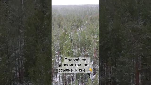 Карелия где отдохнуть ?!