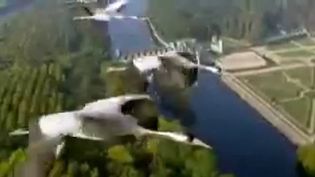 Журавлиная стая
