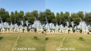Canon Eos R100 VS Canon Eos R50 Camera Test