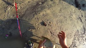 РЫБАЛКА на КРОКОДИЛЫ с НОЧЁВКОЙ по ЖАРЕ на РЕКЕ. Караси на ДОНКУ)