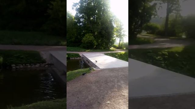 Екатерининский парк, Царское село смотреть онлайн