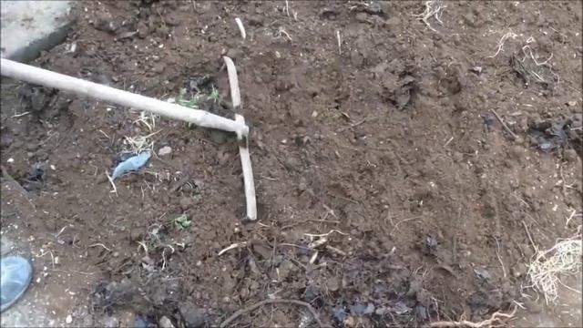 Как Приготовить ЛИСТОВОЙ ПЕРЕГНОЙ/ ГРЯДКА ВЕСНОЙ/ Органическое земледелие