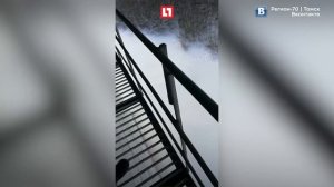 Пара разбилась во время прыжка с моста