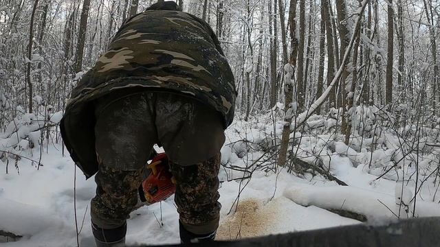 Зима мороз.Буран.Опять хорек. смотреть онлайн