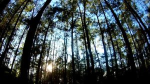 Спуск с вулкана Батур на джипе