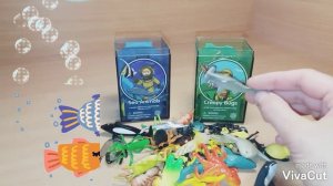 Насекомые и морские животные/Играем