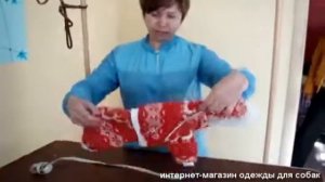 Размеры для собачьей одежды.