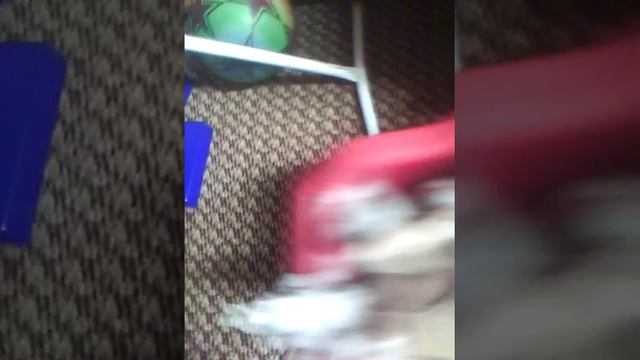 Котята и собачата в больнице 2часть. смотреть онлайн