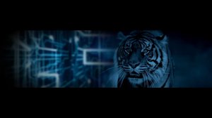 Intel анонсировала 10-нм процессоры Tiger Lake с интегрированной графикой Xe