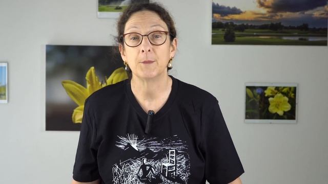 Wacom Cintiq Pro 24 Review смотреть онлайн