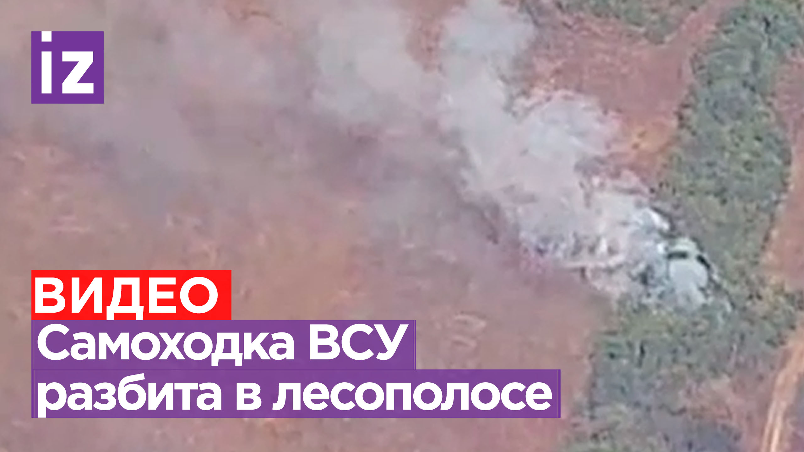 Проиграла в прятки: украинскую самоходку уничтожили в лесополосе / Известия