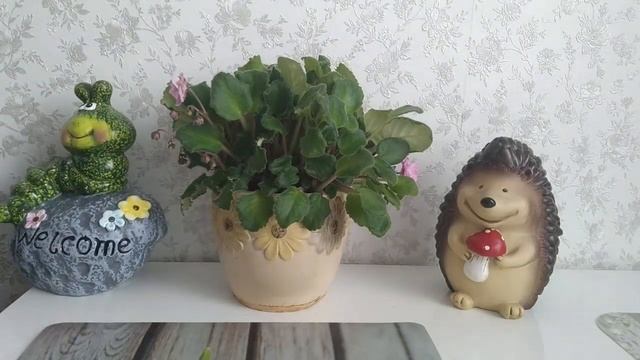 Фикс Прайс, сказочные новинки!Готовлю курицу с ананасом,поболтаем! смотреть онлайн