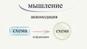 Теория когнитивного развития Ж. Пиаже