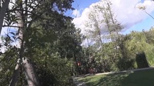 Дивное озеро в Лазаревское