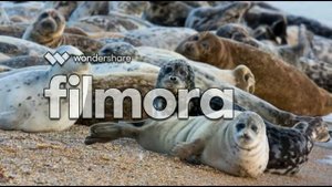 Остров Малый Жемчужный