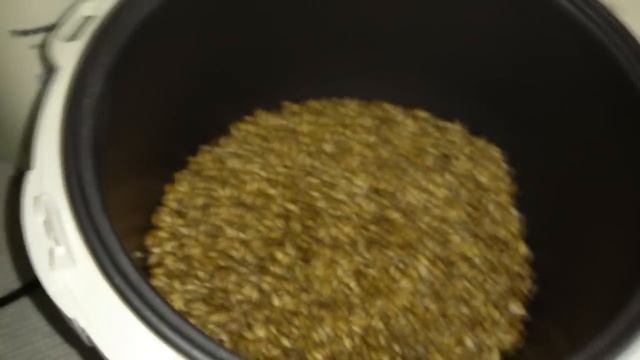 СВЕТЛЫЙ КАРАМЕЛЬНЫЙ СОЛОД для пива. От Сан Саныча. смотреть онлайн