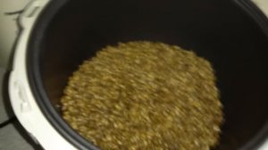 СВЕТЛЫЙ КАРАМЕЛЬНЫЙ СОЛОД для пива. От Сан Саныча.