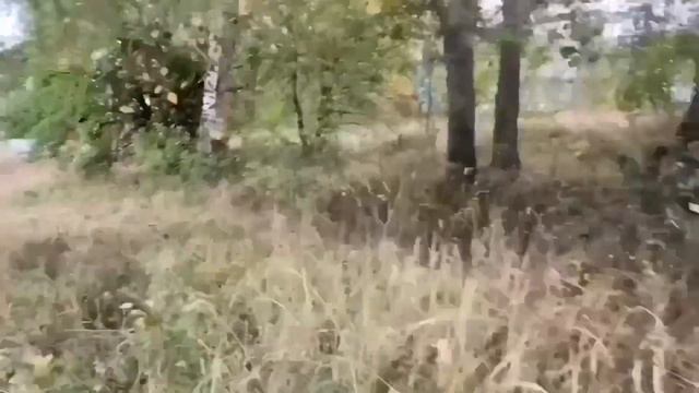 ПРЕДСЕДАТЕЛЬ КОЛХОЗА ОЛЮНЯ КУБАНСКАЯ ПРАЗДНУЕТ ЮБИЛЕЙ. ОЛЮНЯ И КОТЮНЯ.