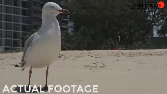 Риг Filmcity Collapsible смотреть онлайн