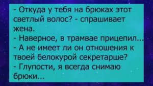 Сборник смешных анекдотов