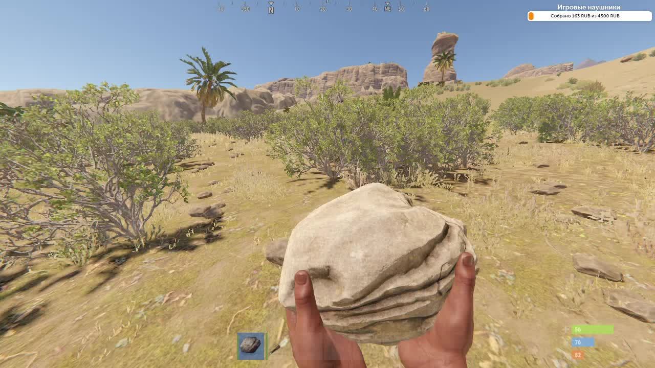 Выживание в Rust