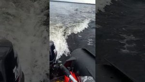 Удачный комплект...Тояма 6 л.с. 4 т.к. лодка Хантер 350 про.