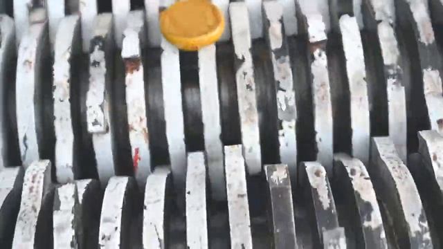 Цветные печенья против Шредера смотреть онлайн