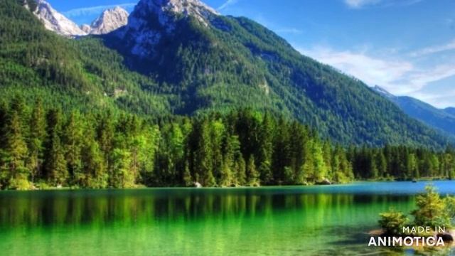 Грузин Палюк Годы прошли Цыганские песни смотреть онлайн