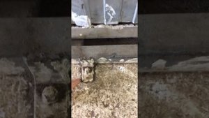 Самодельное приспособление для кузовного ремонта.