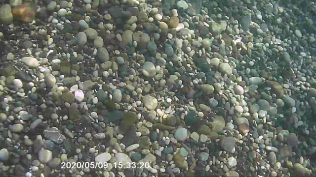 5 - 15 октября 2020 г. Турция, Кемер, Чамьюва, дно пляжа отеля Лариса Акман парк смотреть онлайн