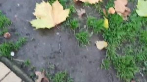 ЗАКАРПАТЬЕ ? ВЕЧЕРНИЙ Город в Карпатах, какую воду пьют в Закарпатье