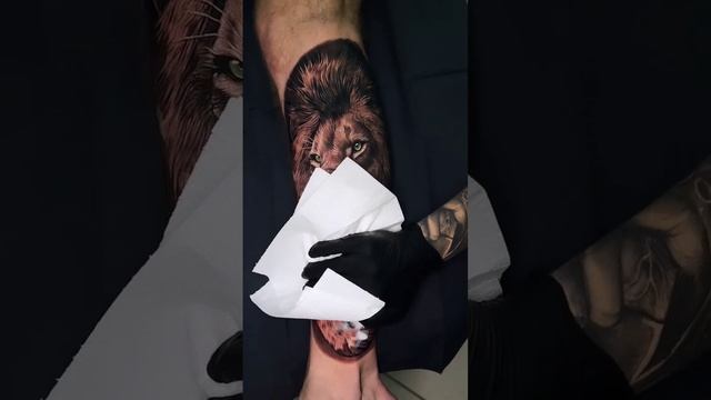 Lion Tattoo Design On Arm Short video #tattoos #inked #liontattoos #tattooed