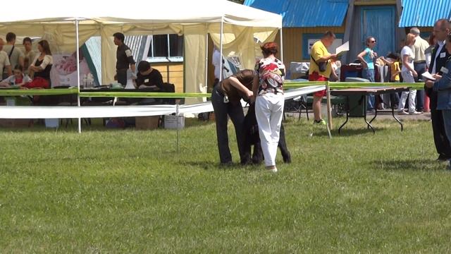 Кубок АКАНА САС UA 26.05.2012 Киев ризенщнауцеры