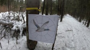 Отстрел дроби 0000 на 50 метров, самокрут порох Сокол, Драго. МР155, чоки 0,5,-0,75.