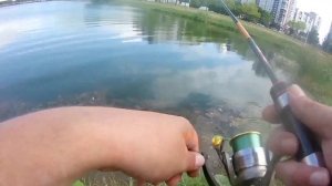 Санкт-Петербург рыбалка на окуня с Микроджигом! Mormo 2021 спиннинг metsyi tip top накормил уток ?
