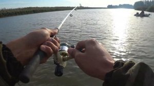Рыбалка на Сазана в Астрахани, с Новой лодки-RiverBoat Navigator 31. 07.09.19.
