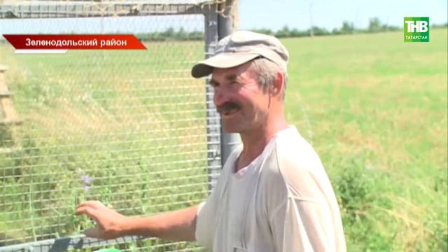 В Татарстане мараловая ферма становится центром реабилитации диких животных