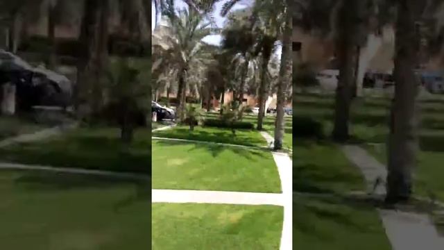 Walking around Deira City Center mall until.. смотреть онлайн