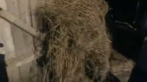 Мерянская земля. «Среднерусская Атлантида. Письма из провинции»